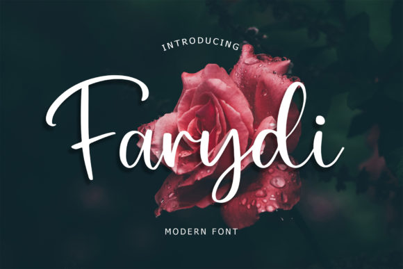 Farydi: The Modern Script Font That Elevates Your Brand Messaging