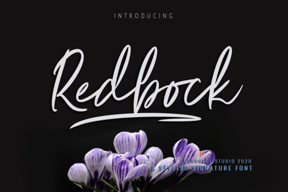 Redbock: The Handwritten Font That Elevates Your Campaigns