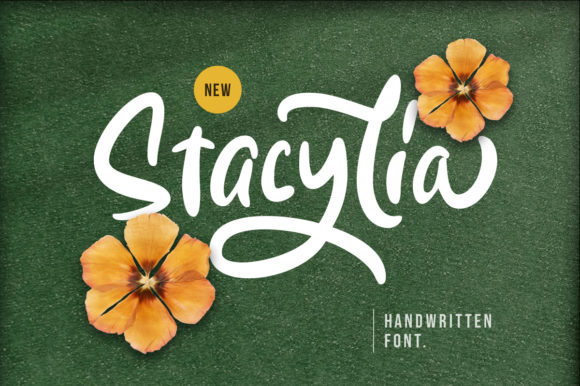Stacylia: A Bold Handwritten Font for Memorable Campaigns